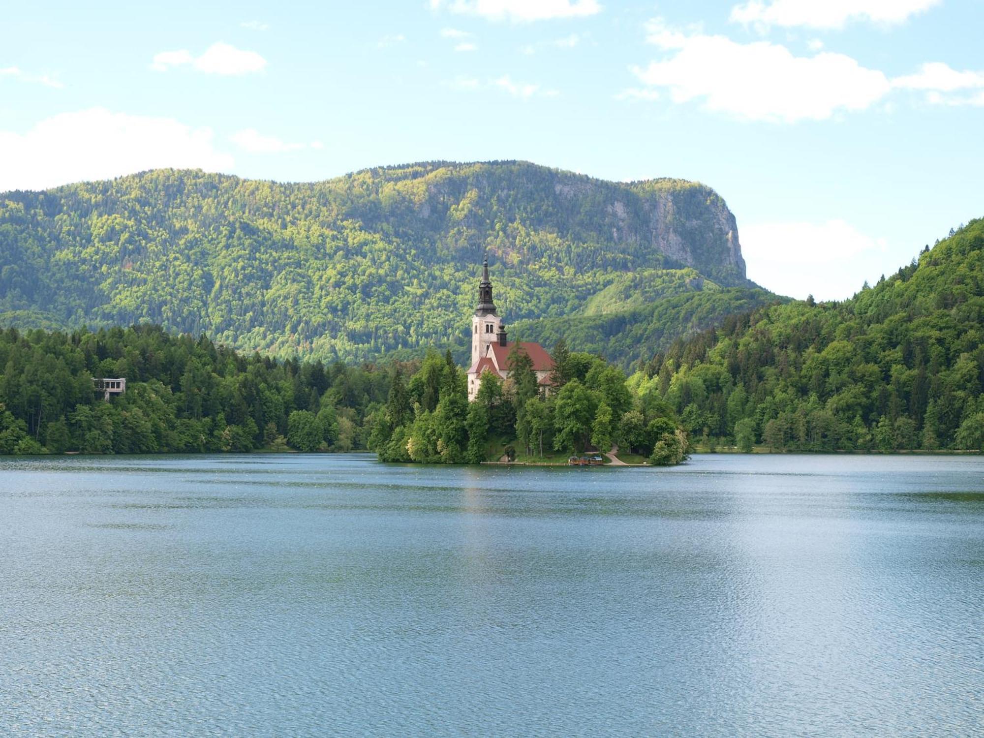 Kunstelj Pension Радовлица Экстерьер фото