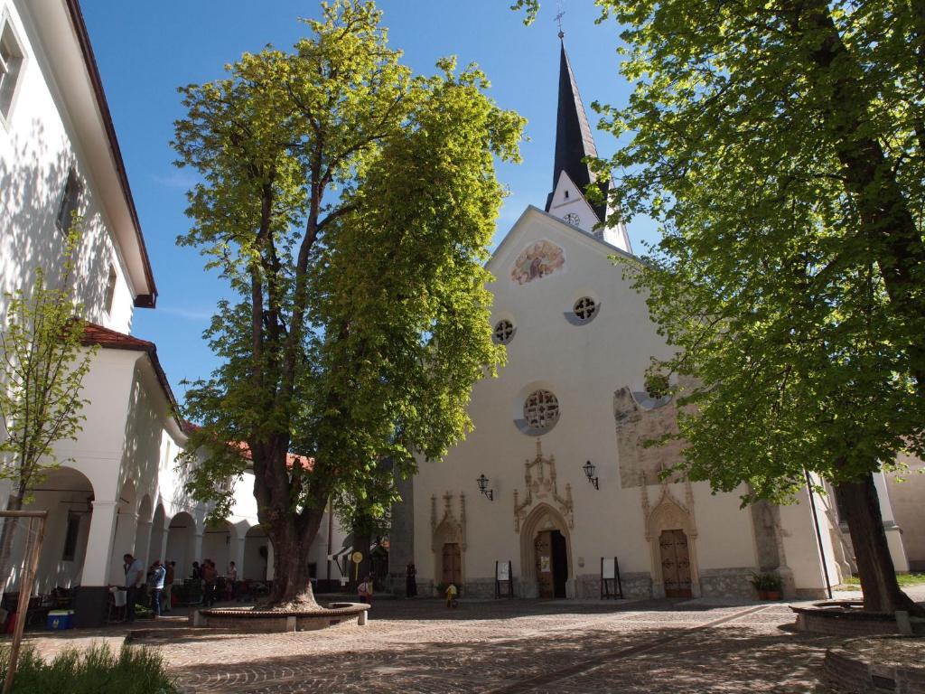 Kunstelj Pension Радовлица Экстерьер фото